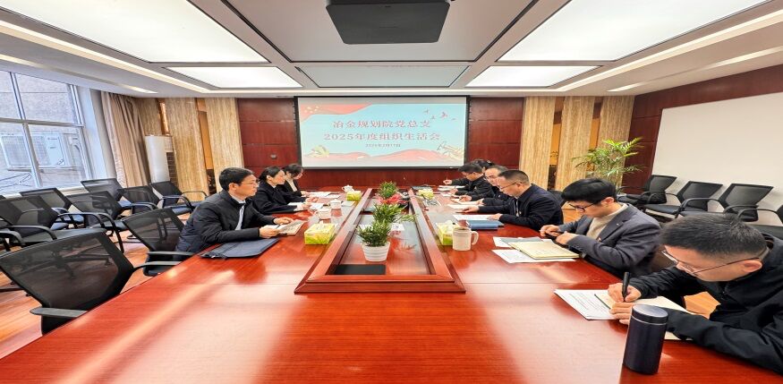 冶金规划院党总支召开2025年度组织生涯会